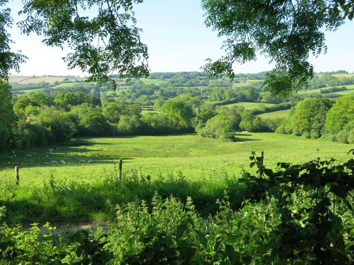 Meadow Barn Villa Axminster Dış mekan fotoğraf