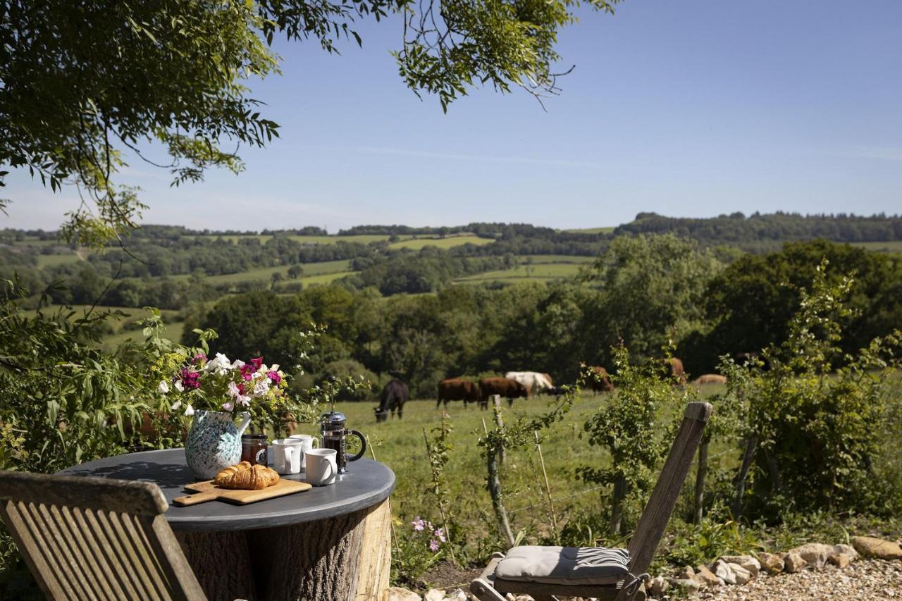 Meadow Barn Villa Axminster Dış mekan fotoğraf